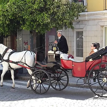 Sherryflat Font - Parking Apartment Jerez de la Frontera